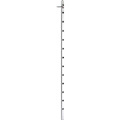 Black Box 12-outlet Power Strip