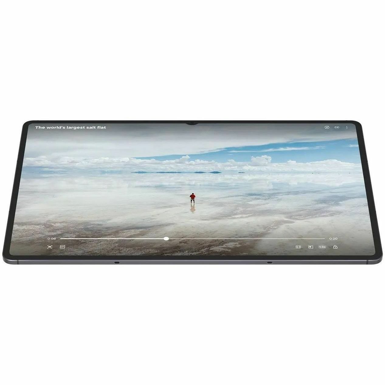 Samsung Galaxy Tab S11 Ultra SM-X930 Tablet - 14.6" WQXGA+ - MediaTek Dimensity 9400+ (3 nm) Octa-core - 12 GB - 256 GB Storage - Gray