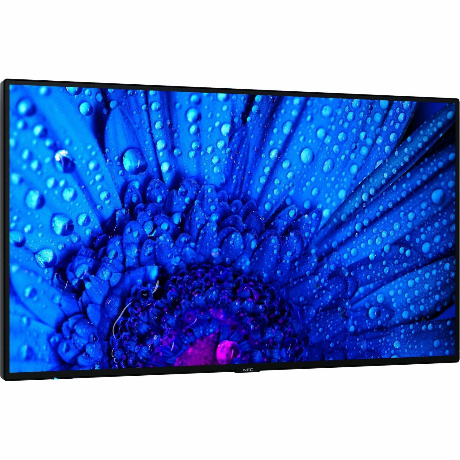 NEC Display MultiSync M861 2184,40 mm LCD Digital-Signage-Display - Überholt - 24 Stunden/7 Tage Betrieb - Energy Star