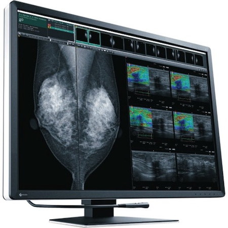 EIZO RadiForce RX1270 31" Class LCD Monitor - 3:2 - Black