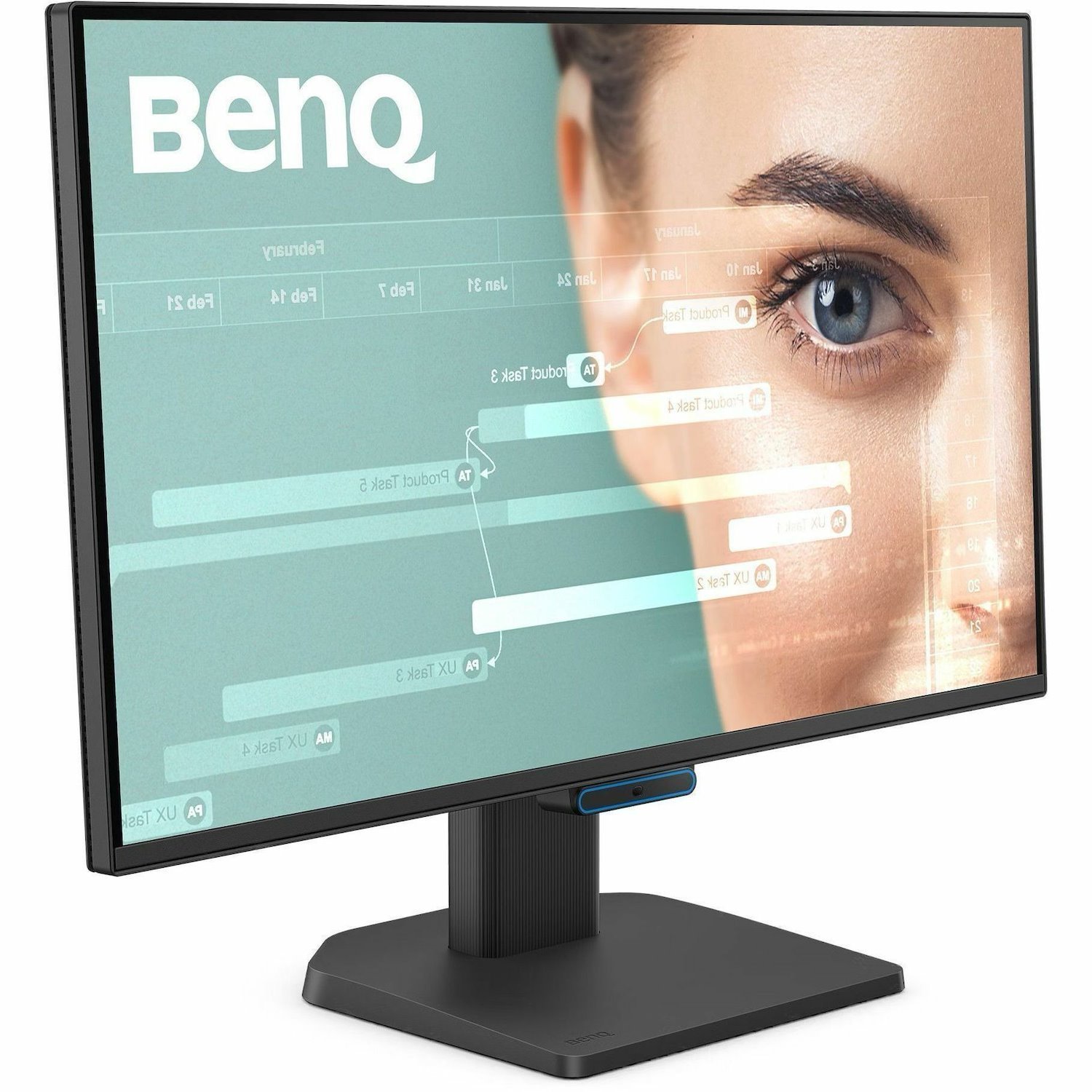 BenQ GW2490C 24" Class Full HD LED Monitor - 16:9
