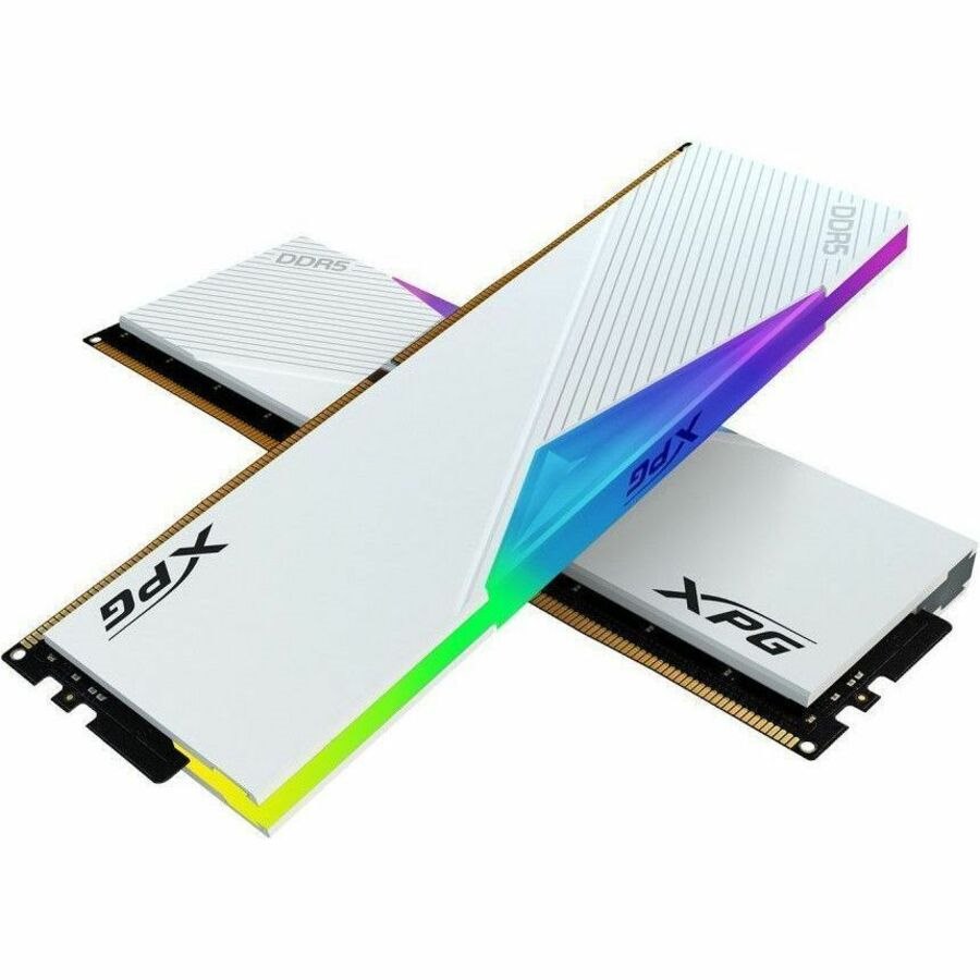XPG RAM Module