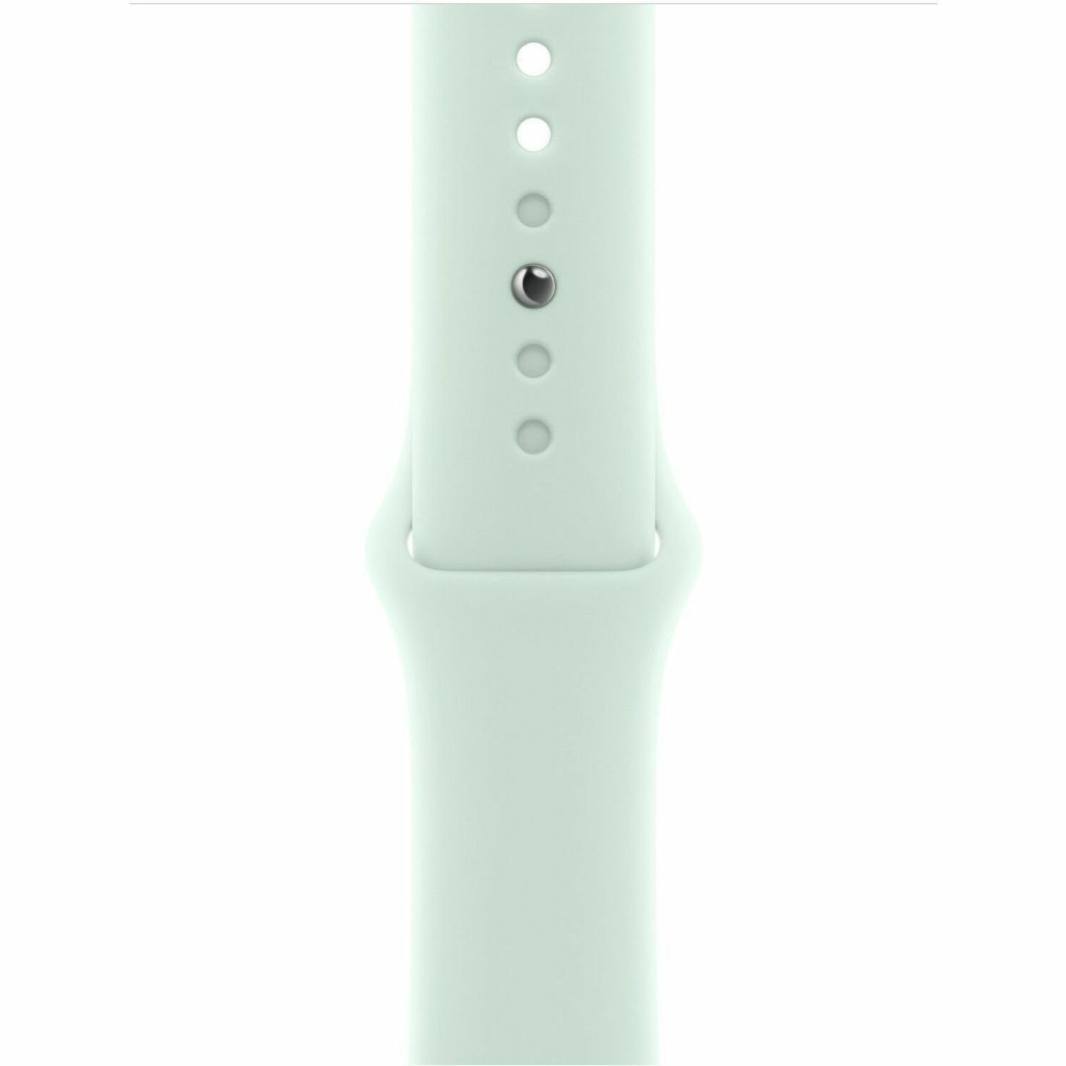 Apple Adjustable Smartwatch Band