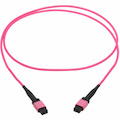 Eaton Tripp Lite Series 100G Multimode 50/125 OM4 Fiber Optic Cable (12F MTP/MPO-PC F/F), OFNP, Magenta, 2 m (6.6 ft.), TAA