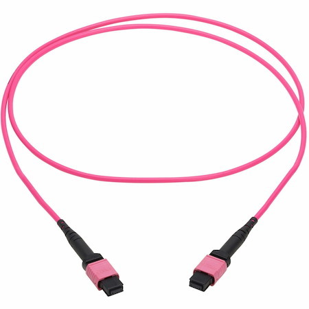Eaton Tripp Lite Series 100G Multimode 50/125 OM4 Fiber Optic Cable (12F MTP/MPO-PC F/F), OFNP, Magenta, 2 m (6.6 ft.), TAA