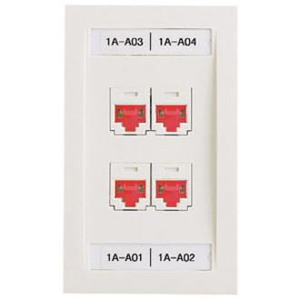 Panduit Network Faceplate