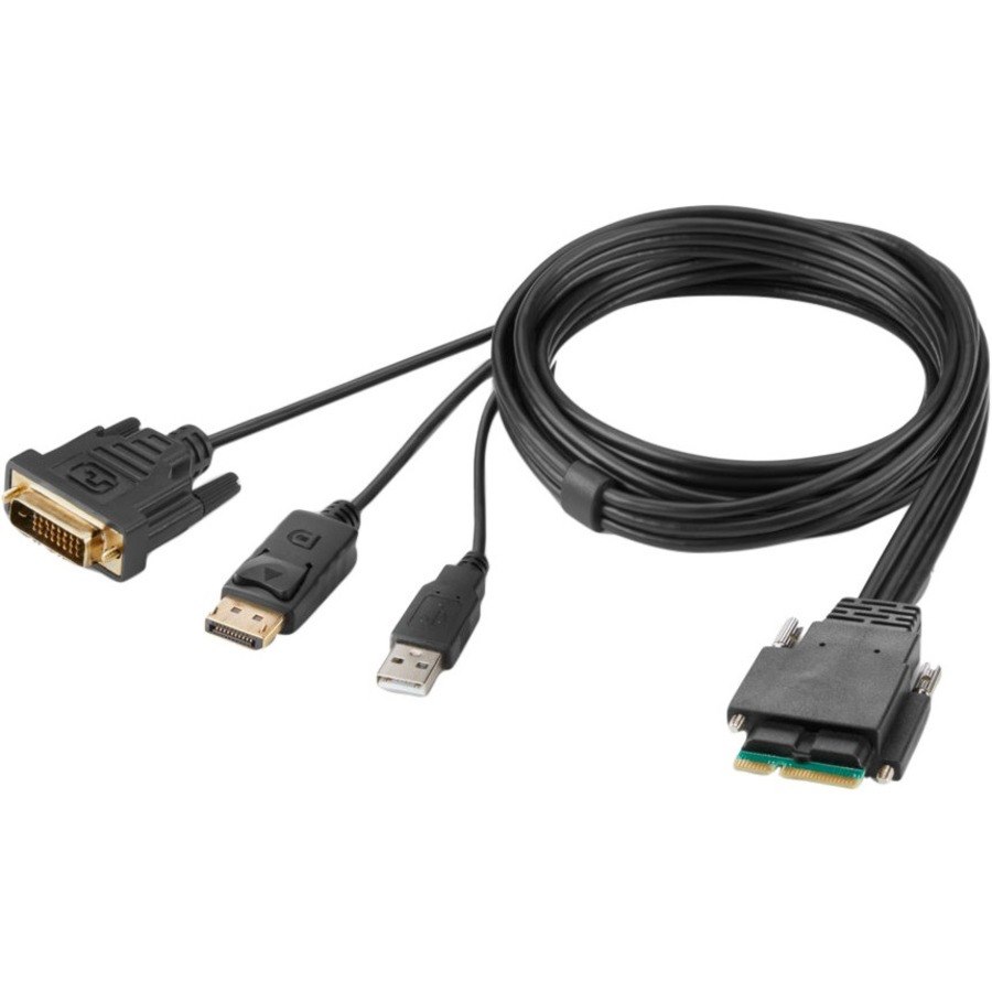 Belkin Modular DVI and DP Dual-Head Host Cable 6 ft.