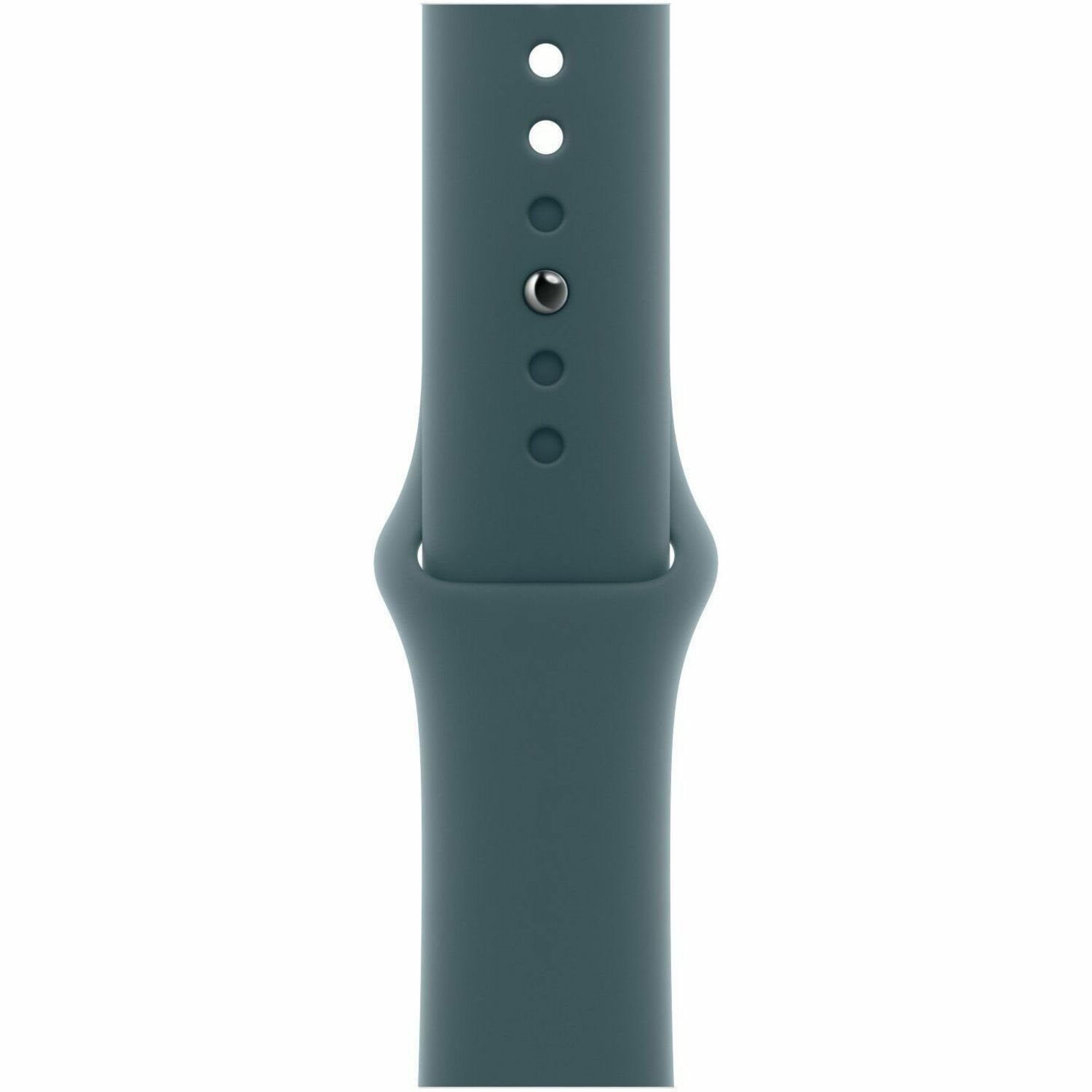 Apple Adjustable Smartwatch Band