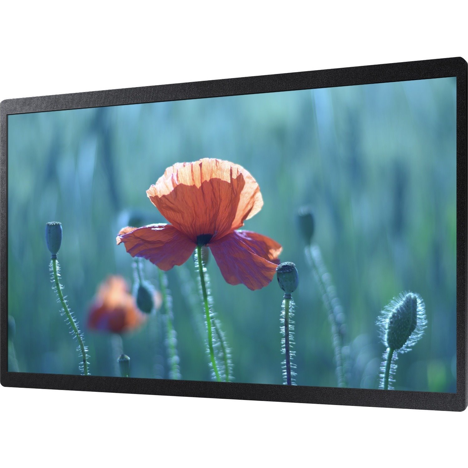Samsung QB24R 23.8" LCD Digital Signage Display