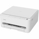 Canon PIXMA TS4320 Wired & Wireless Inkjet Multifunction Printer - Color