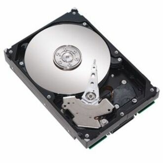 Seagate NL35 ST3400832NS 400 GB Harde schijf - 3.5" Intern