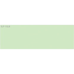 Seiko SLP-1GLB Address Label