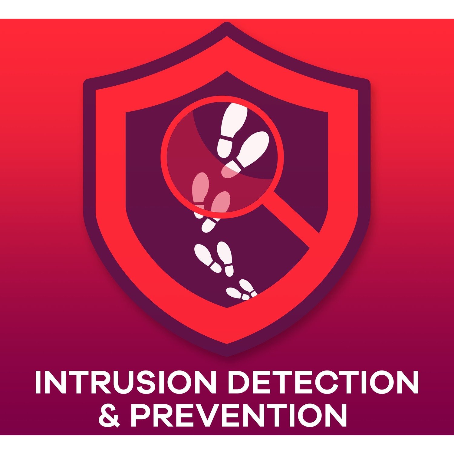 ZYXEL Subscription Service - 1 Year - Service