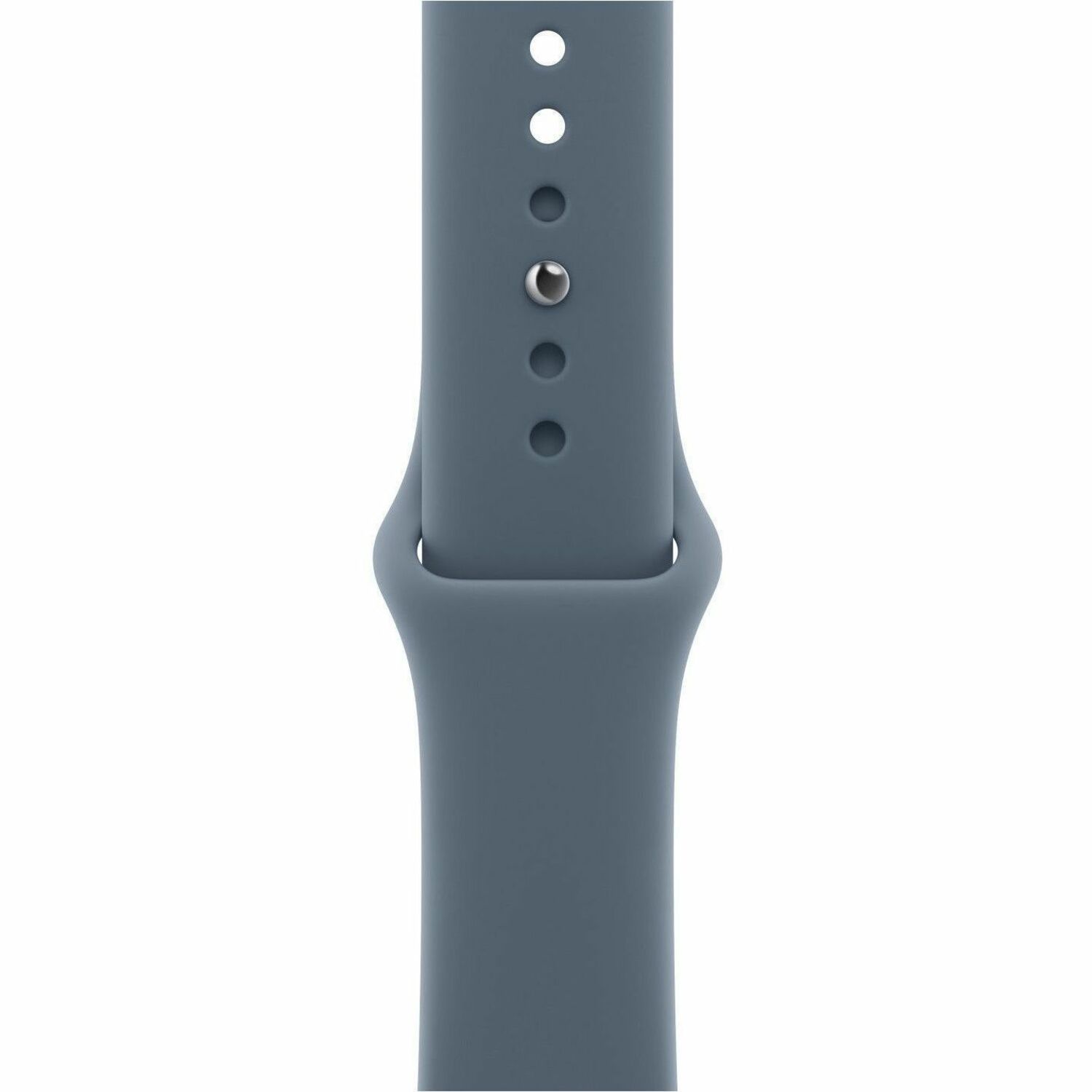 Apple Adjustable Smartwatch Band