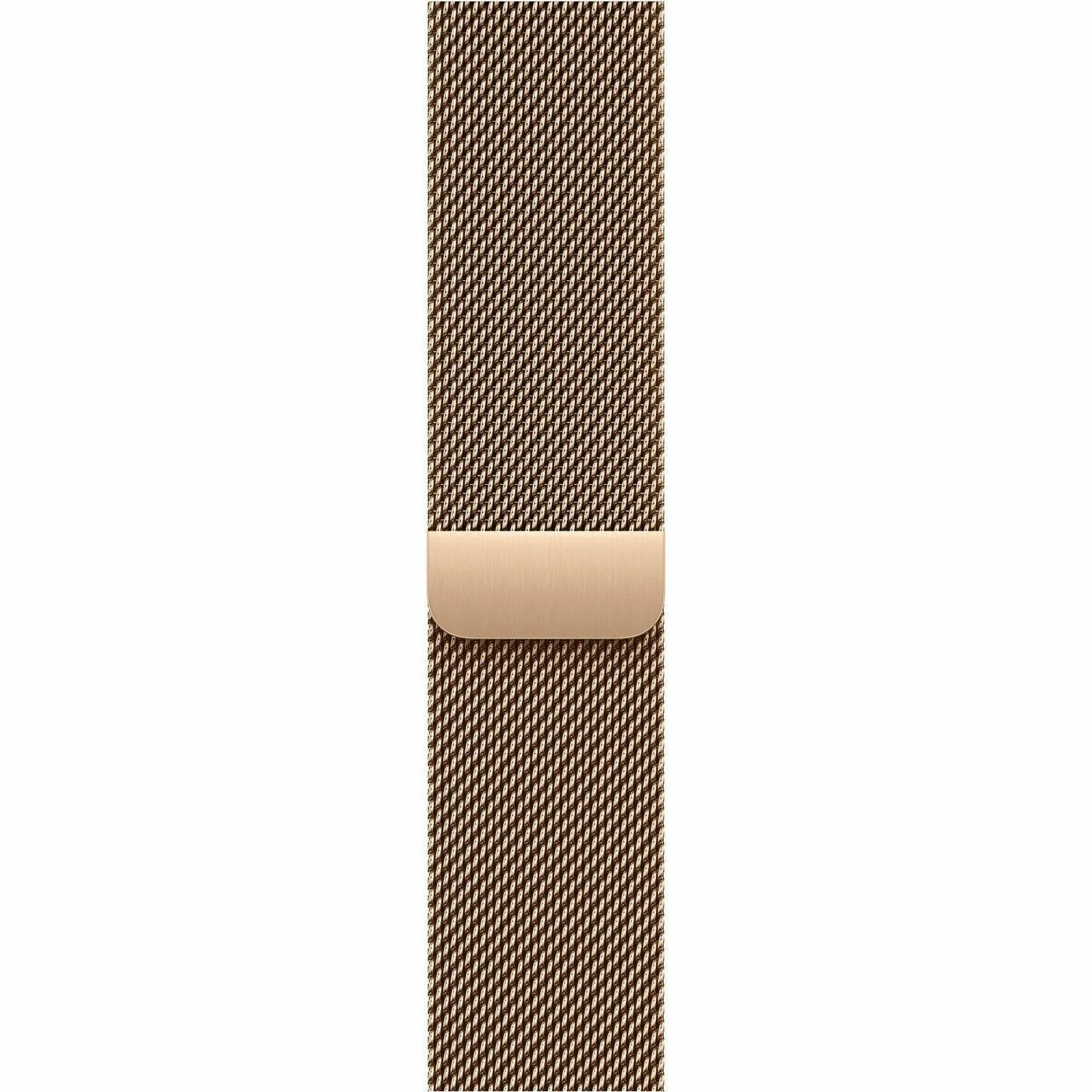 Apple Adjustable Smartwatch Band