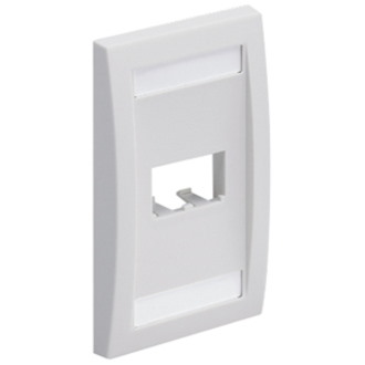 Panduit Mini-Com 2 Sockets Single Gang Faceplate