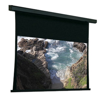 Draper Premier 137" Projection Screen