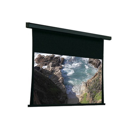 Draper Premier 165" Projection Screen