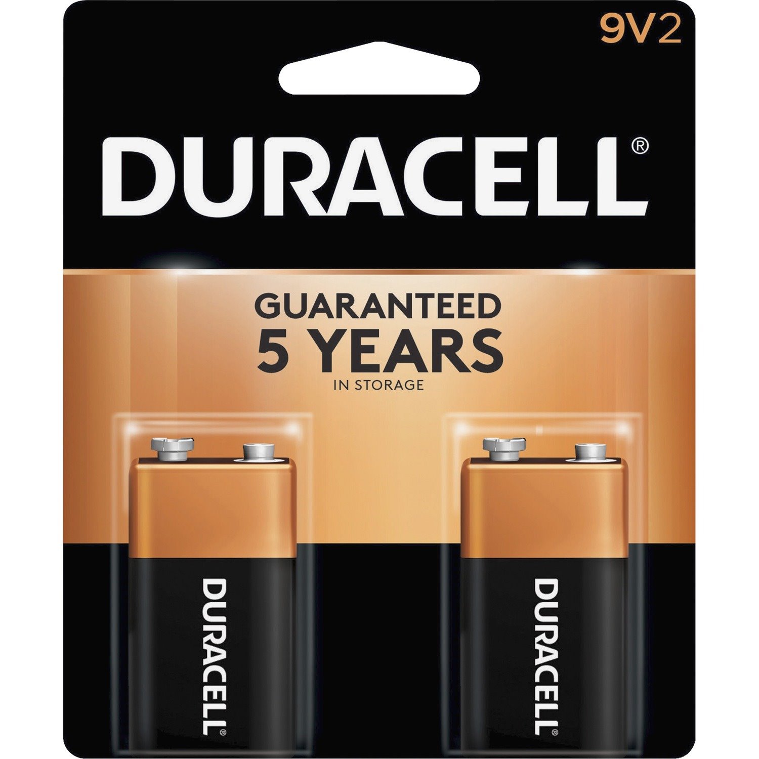 Duracell MN1604B2Z Alkaline General Purpose Battery