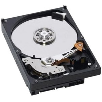 IBM 49Y1866 600 GB Hard Drive - 3.5" Internal - SAS (6Gb/s SAS)