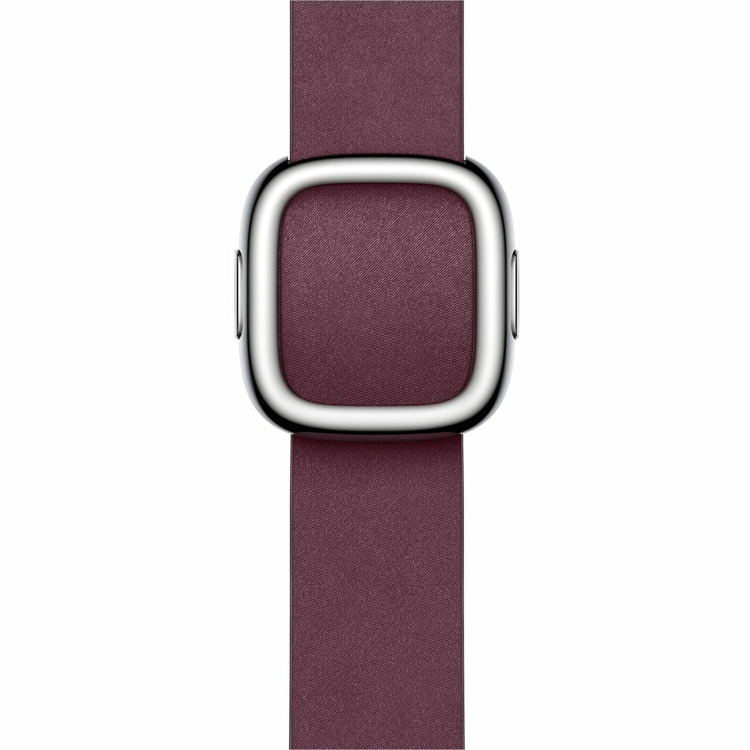 Apple Adjustable Smartwatch Band