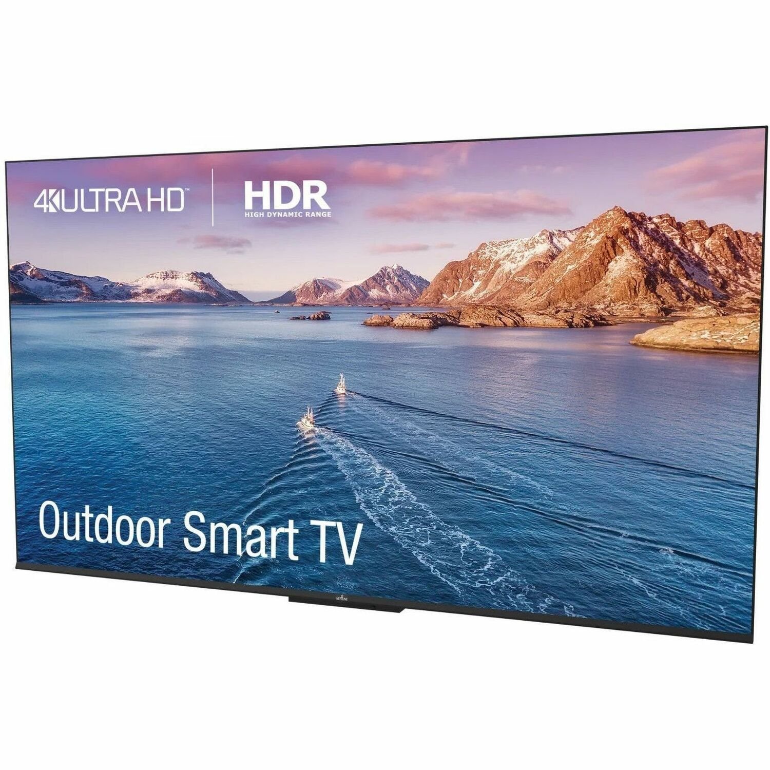 Neptune&trade; 55" Shade Outdoor Smart TV