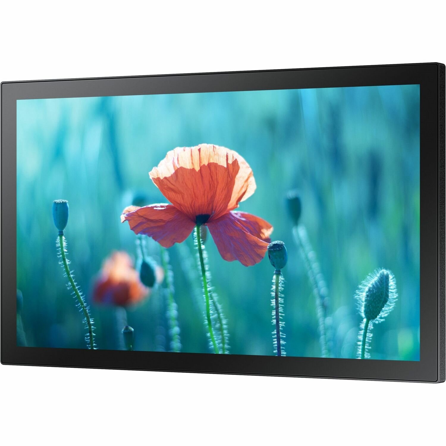 Samsung QB13R-TM Digital Signage Display