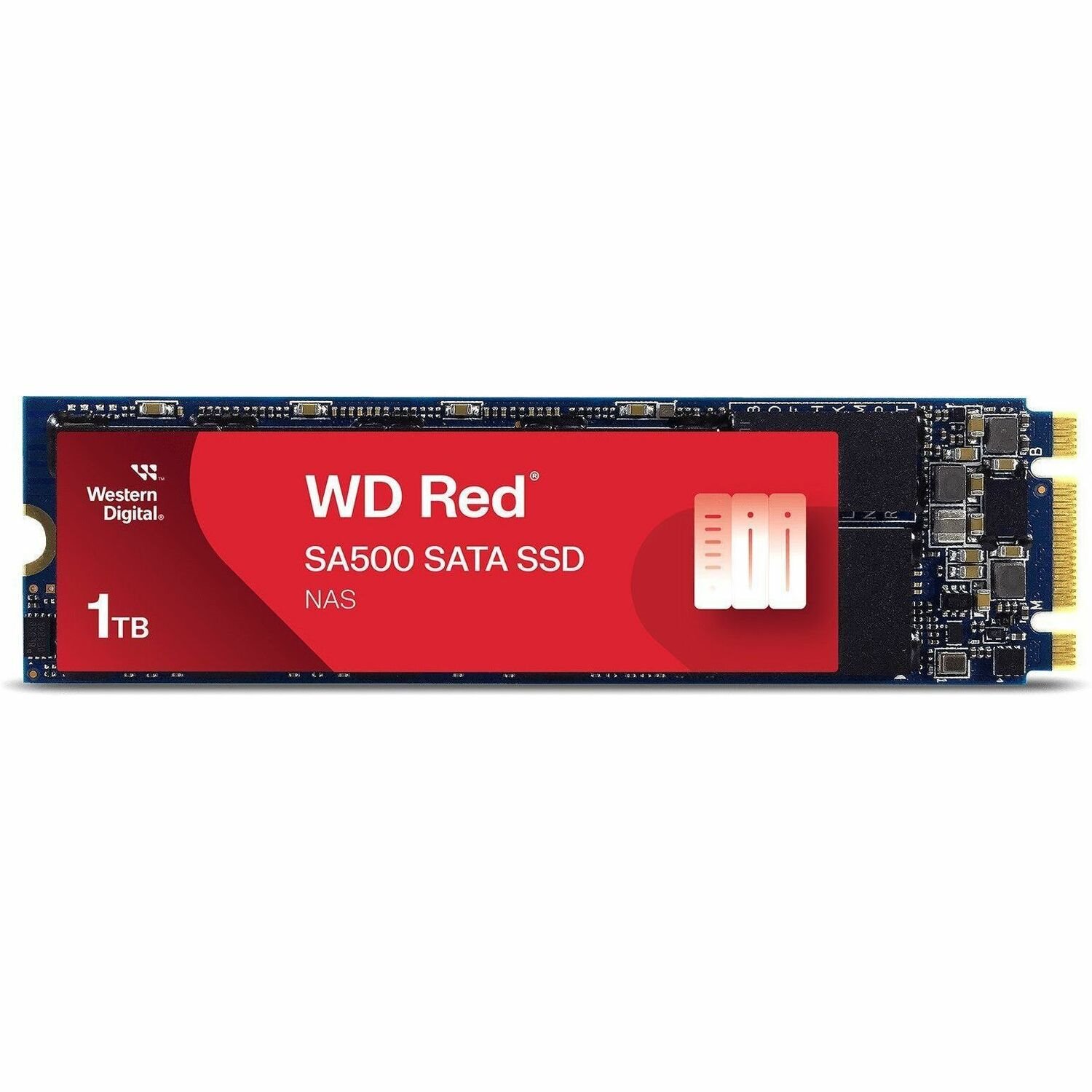 WD Red SA500 WDS100T1R0B 1 TB Solid State Drive - M.2 2280 Internal - SATA (SATA/600)