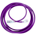 Ortronics Cat.6 Cable