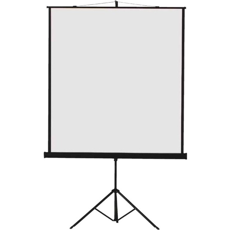 Redleaf 4346.4 cm (1711.2") Projection Screen