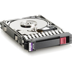 Total Micro 300 GB Hard Drive - 2.5" Internal - SAS (6Gb/s SAS)