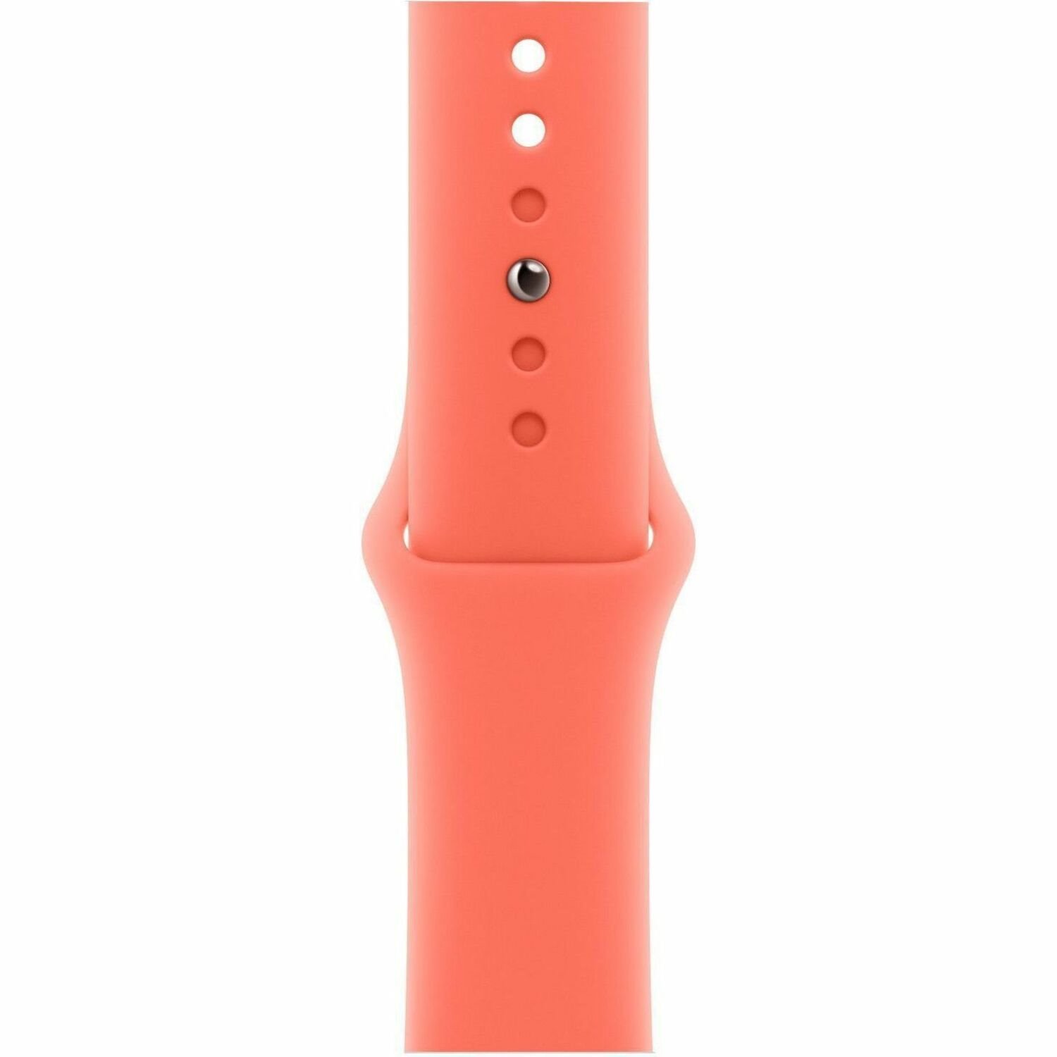 Apple Adjustable Smartwatch Band