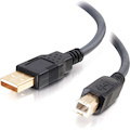 C2G 16.4ft USB A to USB B Cable - Ultima Series Black - M/M