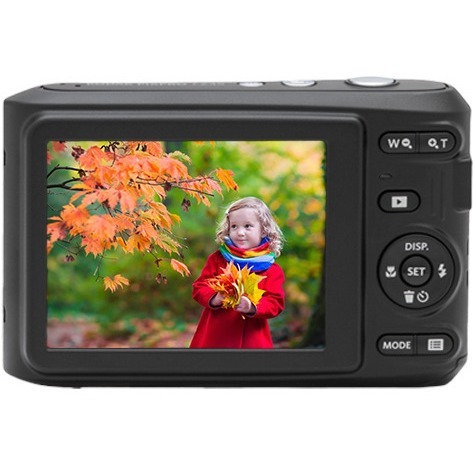 Kodak PIXPRO FZ45 16.4 Megapixel Compact Camera - Black