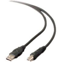 Belkin USB Extension Cable