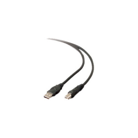 Belkin USB Extension Cable
