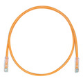 PANDUIT Cat.6 UTP Patch Cord