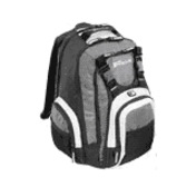 Toshiba Notebook Backpack