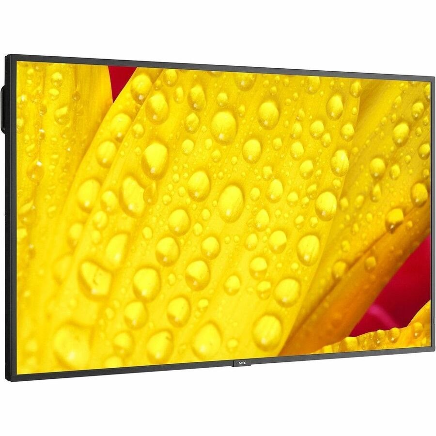 Sharp 43" Ultra High Definition Professional Display