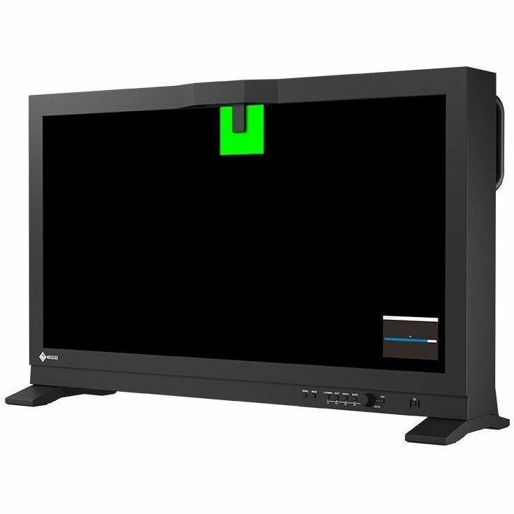 EIZO ColorEdge PROMINENCE CG1-BK 31" Class 4K LCD Monitor - 17:9 - Black