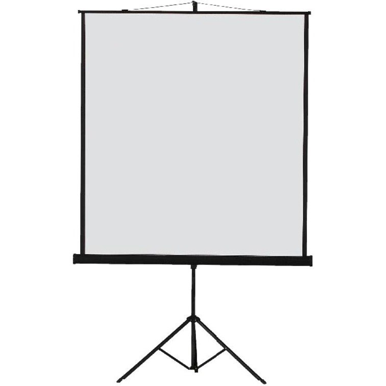 Redleaf 8477.4 cm (3337.5") Projection Screen