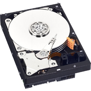WD Caviar Blue WD3200AAJS 320 GB Hard Drive - 3.5" Internal - SATA (SATA/300)