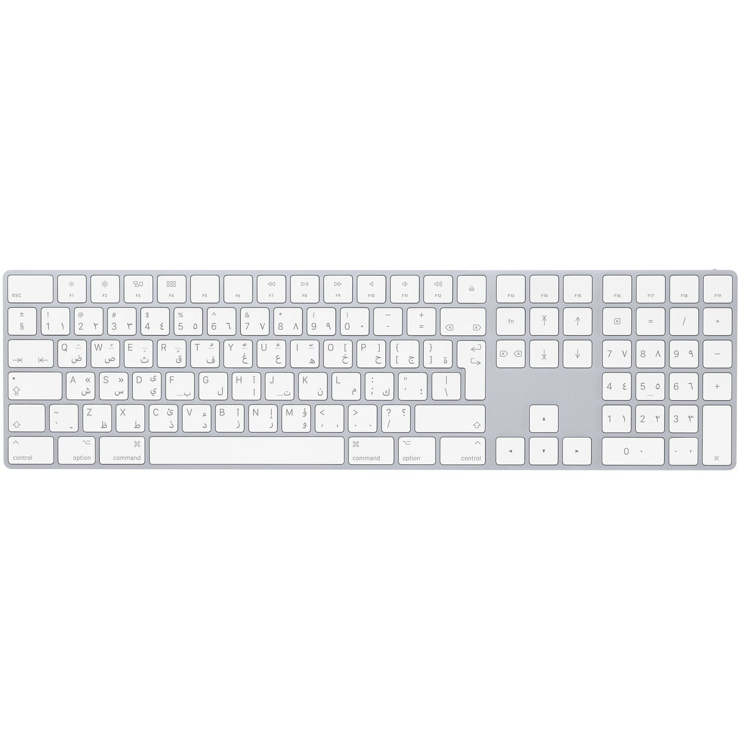 Apple Magic Keyboard - Wireless Connectivity - Arabic - QWERTY Layout - Silver, White