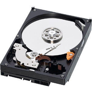 WD Caviar Blue WD3200AAJS 320 GB Hard Drive - 3.5" Internal - SATA (SATA/300)