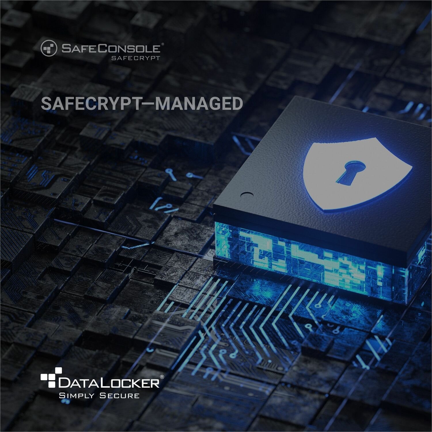 DataLocker SafeCrypt Encrypted Virtual Drive - License Renewal - 3 Year