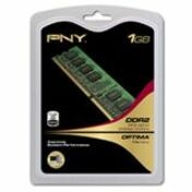 PNY DIMM101GBN/5300/2CBX RAM-module - 1 GB - DDR2-667/PC2-5300 DDR2 SDRAM - 667 MHz