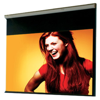 Draper Luma 109" Manual Projection Screen