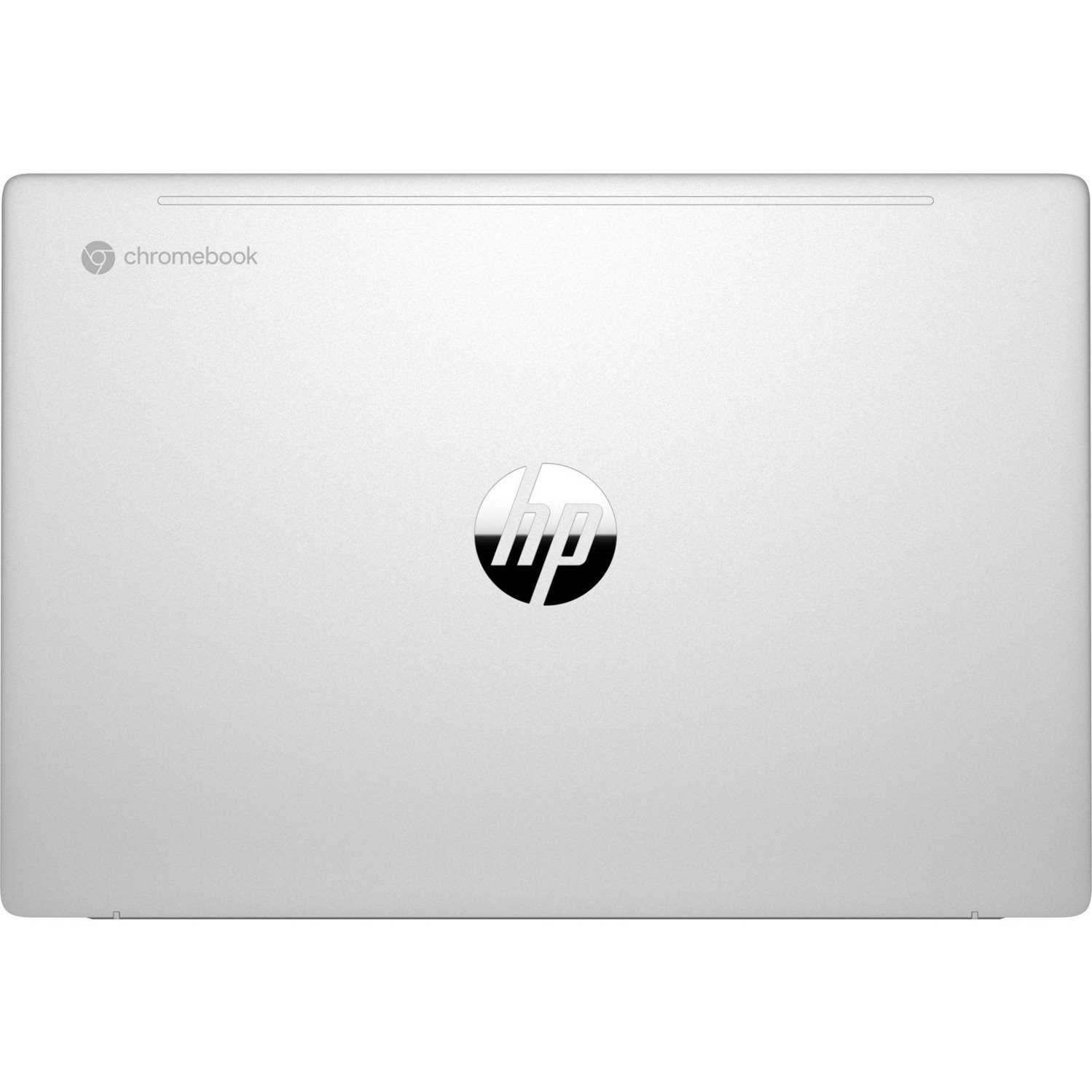 HP Pro c640 G2 Chromebook Enterprise 14" Chromebook - HD - Intel Celeron 6305 - 8 GB - 64 GB Flash Memory - Pike Silver Aluminum