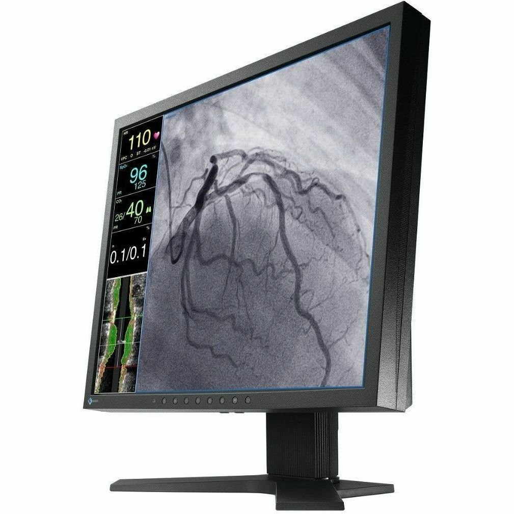 EIZO CuratOR LX1910-S 19" Class SXGA LED Monitor - 5:4 - Black