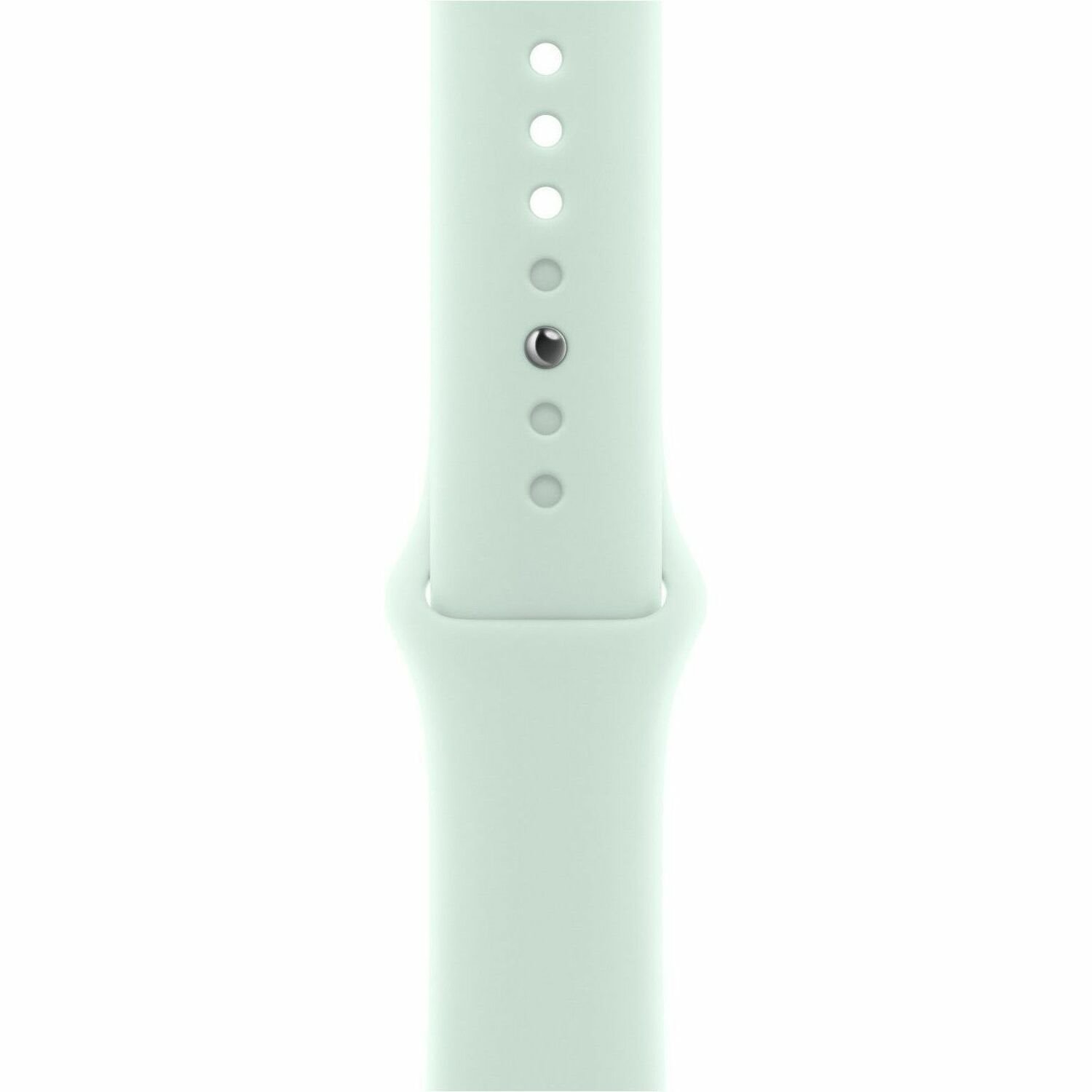 Apple Adjustable Smartwatch Band
